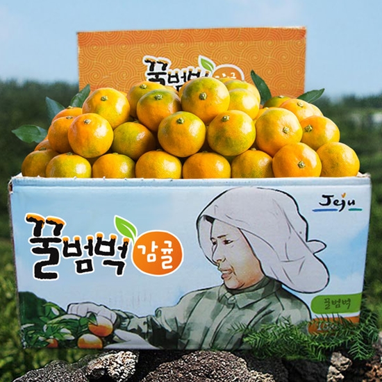 제주꿀범벅감귤 완전설탕 꿀범벅 타이벡감귤 중과 4.5kg (1개)