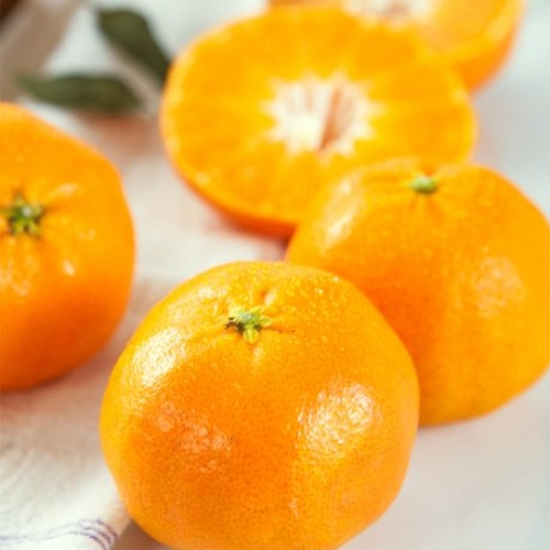 �ʷ��ڿ� õ���� 14~16��(��) 3kg