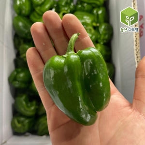  농산다모임 국내산 청피망 10kg [1개]