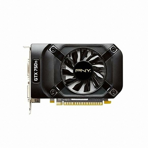 PNY 지포스 GTX750 Ti D5 2GB (해외구매)_이미지