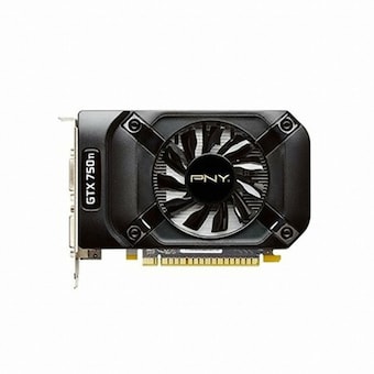 PNY 지포스 GTX750 Ti D5 2GB (해외구매)