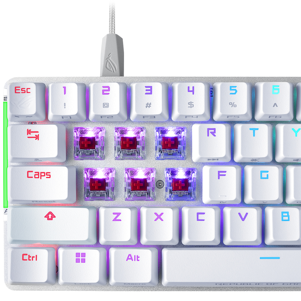 ASUS ROG FALCHION ACE ����