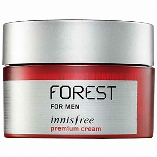 아모레퍼시픽 이니스프리 포레스트 포 맨 프리미엄 크림 50ml (1개)