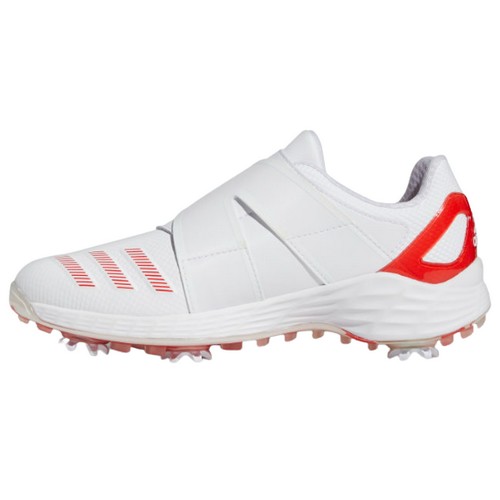 �Ƶ�ٽ� �Ƶ�ٽ����� ��ս� ZG21 ���� ���� GY4551