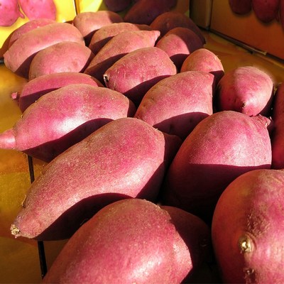 쟁기돌이 고구마 경기도 여주 도 햇 밤고구마 일년 내내 파근파근 밤고구마 100% 오리지널 원조 밤고구마 알밤고구마 1박스 밤고구마..