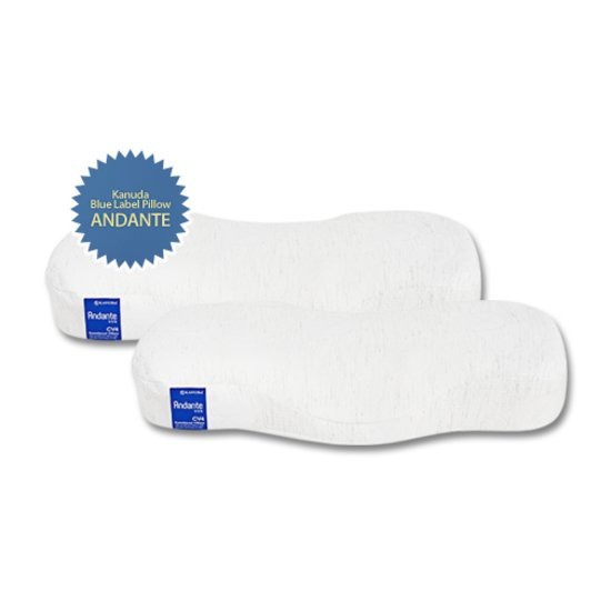 가누다 블루라벨 안단테 면모달 (2개, 60x29x10cm)_이미지