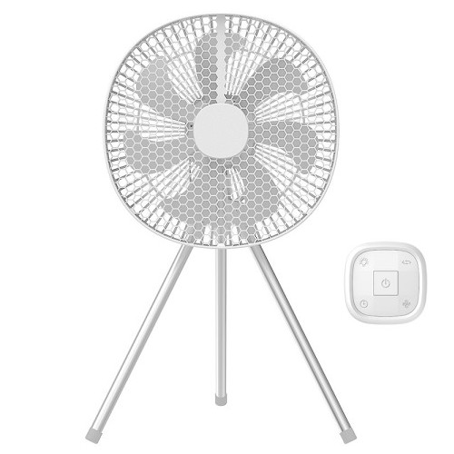 ���� �� ����� CL-009