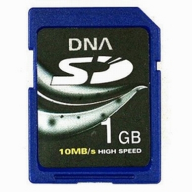 DNA SD (1GB)_이미지
