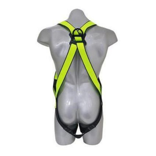 ���з� ��ü�� �����׳� COLOCK STW(D2LZ)