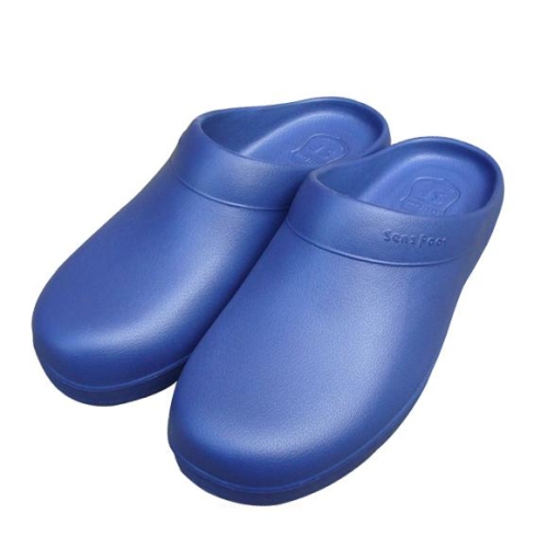 ������̷� ����ǲ ���ȭ ������ (SW-06)