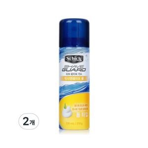 쉬크 쉐이브가드 워시앤쉐이브폼 210g (2개)