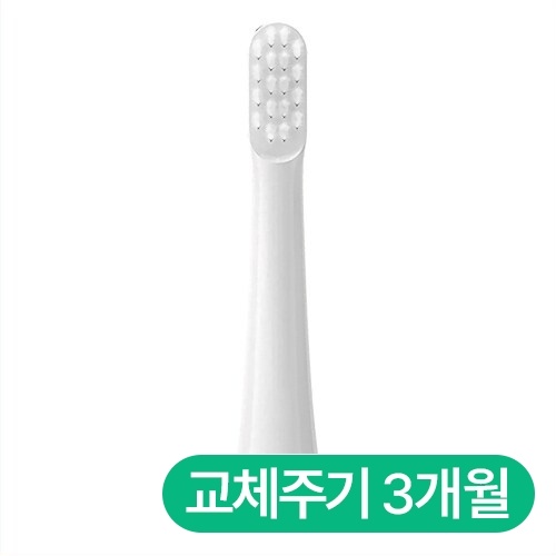 샤오미 미지아 T100 호환 칫솔모 (8개)_이미지