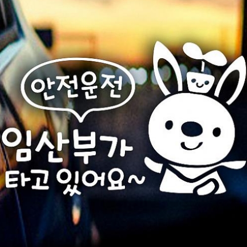 제제데코 안전운전 임산부가 타고있어요 스티커
