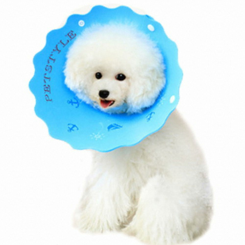 펫츠랜드 파스텔 강아지 깔대기 4호이미지입니다. 누르면 해당 게시물로 새창이동합니다.