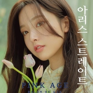 핑크에이지 아리스스트레이트19인치/수제통가발/가발