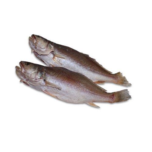 반건조 민어조기 28cm 2미