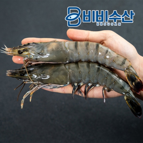 비비수산 블랙타이거새우 20미 500g