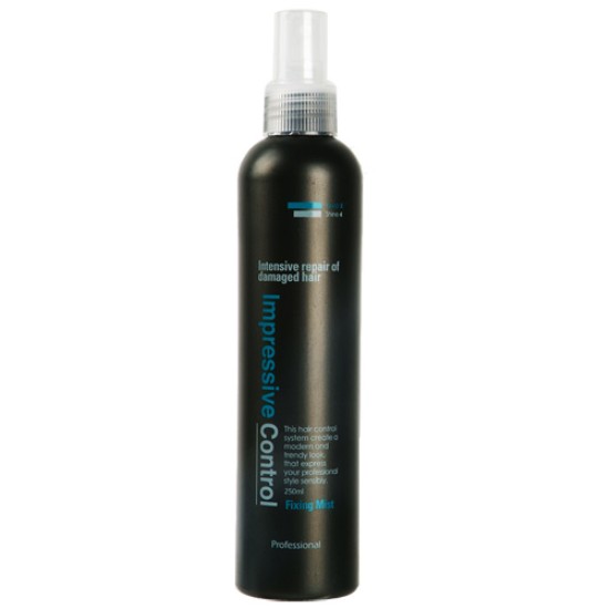 뮤겐스 게츠 임프레쉬브 컨트롤 픽싱 미스트 250ml (1개)_이미지