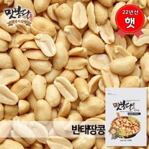 반태땅콩 볶은땅콩 강정 중국산 500g 햇 22년산