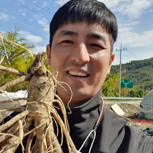 금산인삼 5년근 6년근 세척 무세척 수삼 가정용 세척 원삼 20뿌리-750g