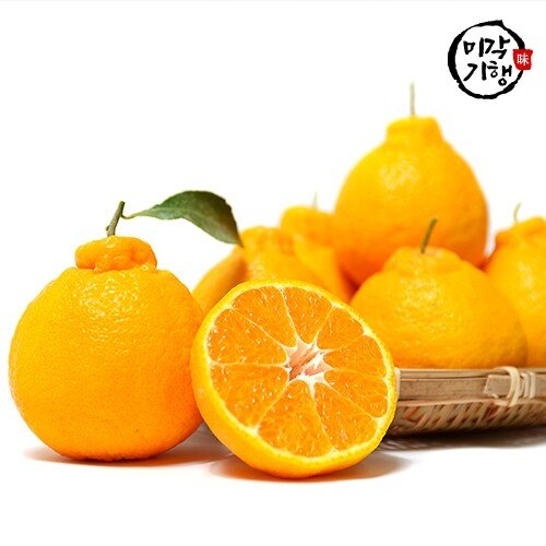 미각기행 제주 한라봉 가정용 소과 13~20개(과) 2.5kg (1개)_이미지