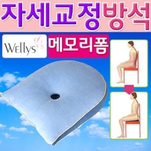 SMN 웰리스 기능성 메모리폼방석 SMN-5103