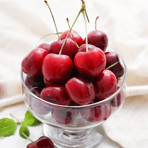 항공직송 고당고 생체리 1kg