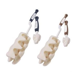 �������� �������� ������ ��Ʈ ��������