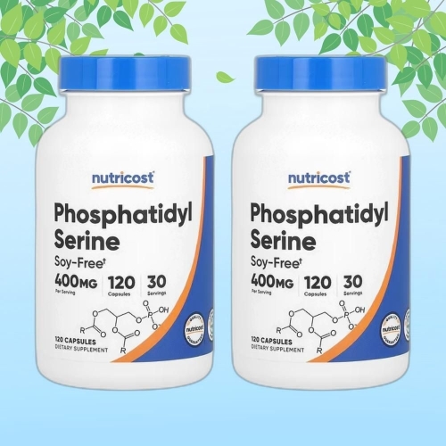 뉴트리코스트 포스파티딜세린 400mg 120캡슐 (2개)_이미지