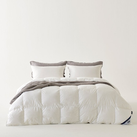 ���� Ȩ�������� �������ֳ� ������ �̺Ҽ�