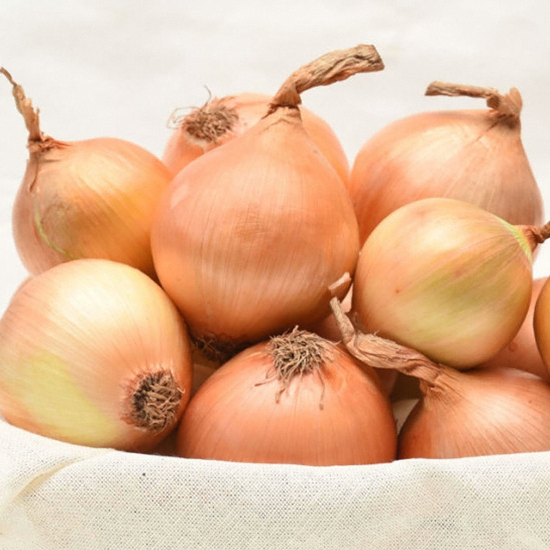 황토 무안양파 대 10kg