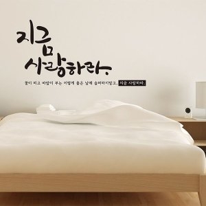 지금사랑하라 소형 캘리그라피스티커 포인트 시트지 데코 글씨이미지입니다. 누르면 해당 게시물로 새창이동합니다.