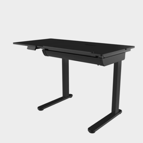 렌데스크 TDS120 스탠업 일체형 모션 스탠딩 책상