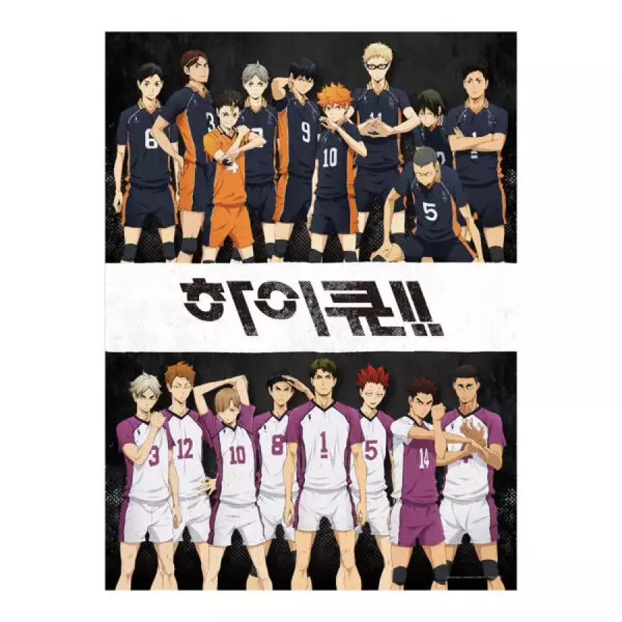 500 하이큐3기-카라스노 VS 시라토리자와