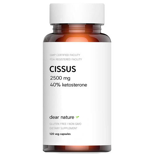  디어네이처 시서스 120베지캡슐 (해외) (1개)