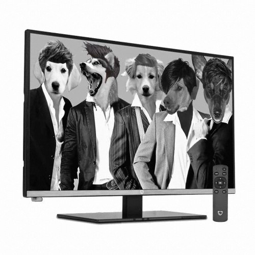 ��ǰ �� �̹���