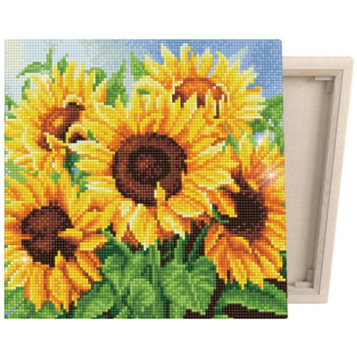 ���̷��������� DIY ĵ������ �������ڼ� 5���� �¾� 30X30cm