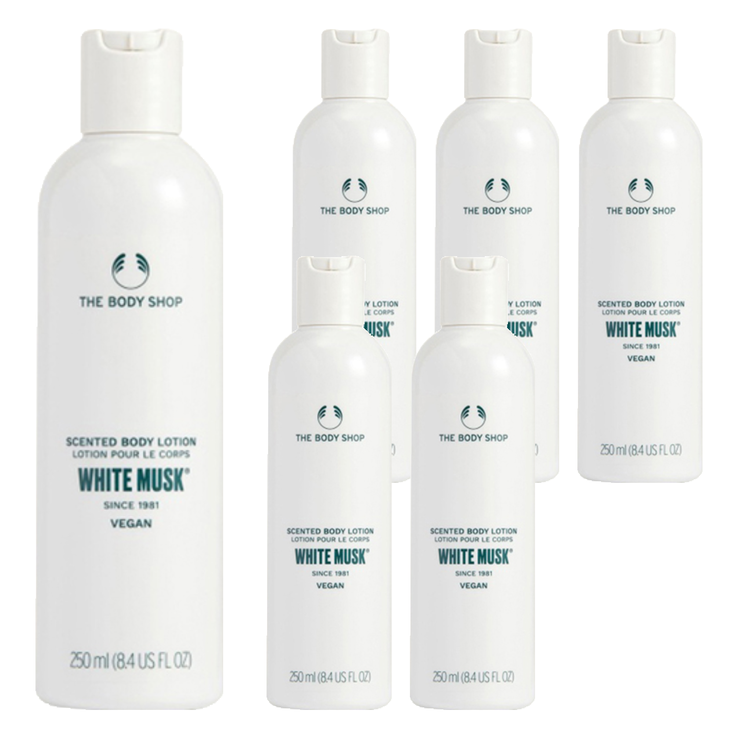 더바디샵 센티드 바디로션 화이트머스크향 250ml (6개)