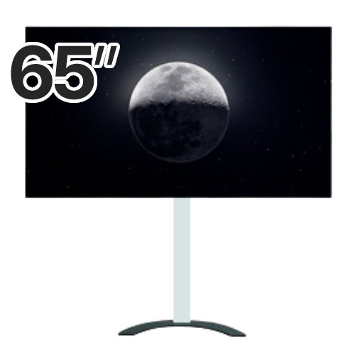 이스트라 AI 맥스 165cm (65인치) QLED 구글 5.0 스마트TV (이스트라 이젤형 스탠드 A타입)