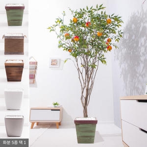 플라워트리 라인-석류나무화분set 240cm  조화  FREOFT이미지입니다. 누르면 해당 게시물로 새창이동합니다.