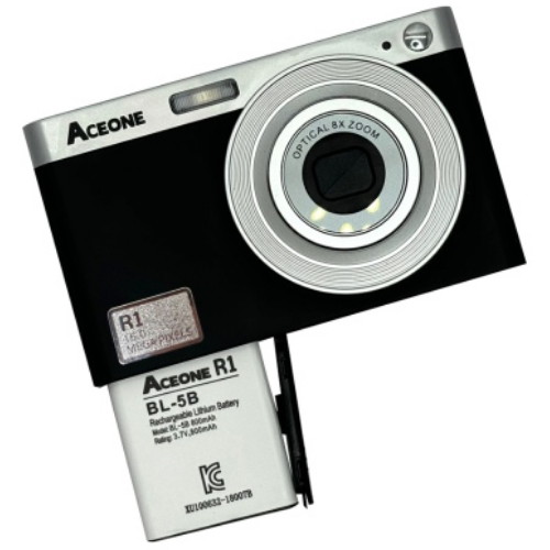 ���̽��� R1