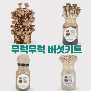 버섯키우기 키트 느타리버섯 1+1 2입 재배