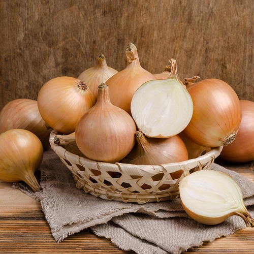 팜투맘 무안 황토 양파 소 5kg