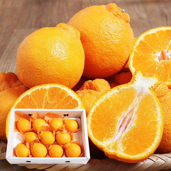 아임네이처 제주 한라봉 13~17개(과) 3kg (1개)