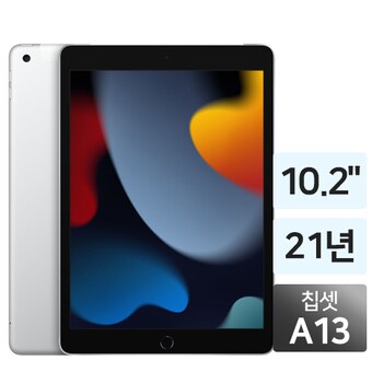APPLE 2021 iPad 9세대 Cellular