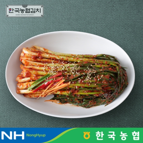 순천농협 파김치 1kg (1개)