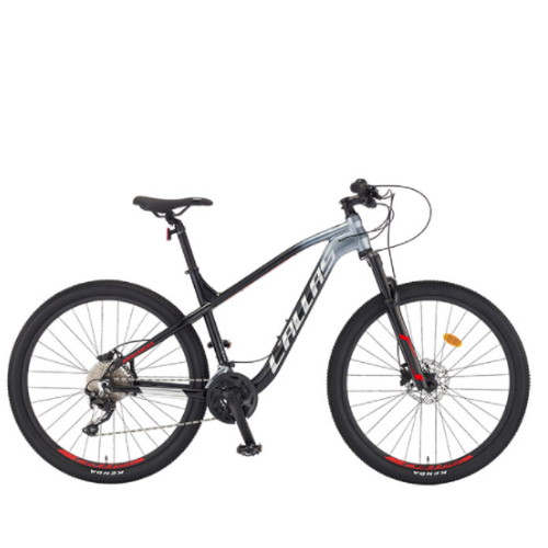 ��õ�������� ���ȶ�ġ�� Į�� 70 (2022����)