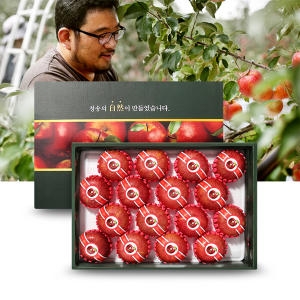  털보네 사과 명품 선물세트 13~17과 5kg [1개]