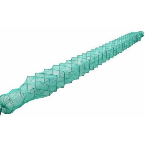 ���ں� 25�� �簢 ���