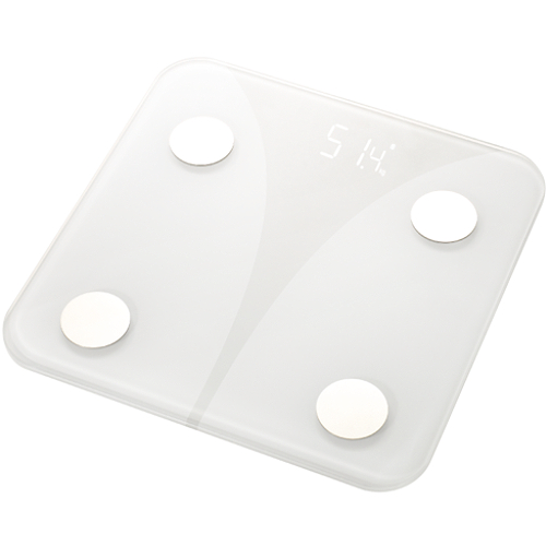 체지방계 BS-N2001